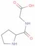 L-Prolylglycine