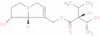 INTERMEDINE
