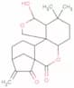 macrocalin A