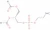 Glycerophospholipids, cephalins