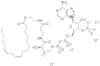 linoleoyl coenzyme A (C18:2) lithium