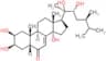 Makisterone A