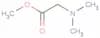 N,N-Dimethylglycine methyl ester