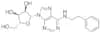 N6-(2-phenylethyl)adenosine