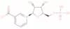 Nicotinic acid mononucleotide