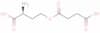 O-succinyl-L-homoserine