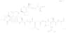Orexin B (rat, mouse)