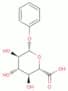 phenyl β-D-glucopyranosiduronic acid