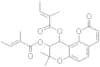 Praeruptorin B