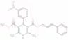 Pranidipine