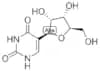 Pseudouridine