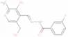 pyridoxal 3-fluorobenzoyl hydrazone