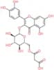Quercetin 3-O-(6′′-malonylglucoside)