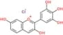 Robinetinidin