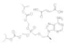 Tenofovir disoproxil fumarate