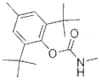 Terbucarb