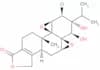 Tripchlorolide