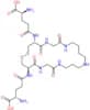 Trypanothione