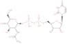 UDP-N-acetyl-D-glucosamine