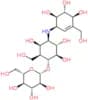 Validamycin B