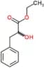 Ethyl 2-hydroxy-3-phenylpropanoate