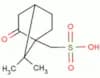 (±)-Camphorsulfonic acid