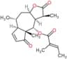 11,13-Dihydrohelenalin tiglate