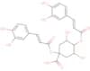 1,4-Dicaffeoylquinic acid