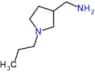 (1-propylpyrrolidin-3-yl)methanamine