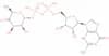 GDP-4-keto-6-deoxy-D-mannose