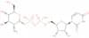 UDP-glucosamine