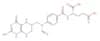 10-Formyltetrahydrofolate