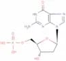 2′-Deoxyguanosine 5′-monophosphate