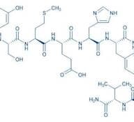 α-MSH