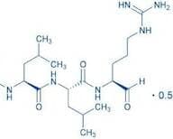 Leupeptin