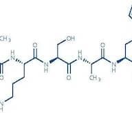 Osteostatin (1-5) (human, bovine, dog, horse, mouse, rabbit, rat)