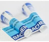 Prolactin-Releasing Peptide (1-31) (rat)