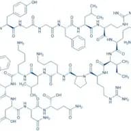 Dynorphin A
