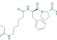 Biotinyl-ε-aminocaproyl-D-Phe-Pro-Arg-chloromethylketone