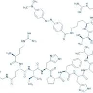 Renin Substrate 1