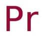 Praseodymium powder, -40 mesh, 99.5% (REO)