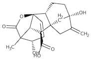 Gibberellic acid, 98%