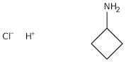 Cyclobutylamine hydrochloride, 97%