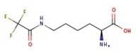 Nε-Trifluoroacetyl-L-lysine, 97%