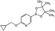 6-(Cyclopropylmethoxy)pyridine-3-boronic acid pinacol ester, 97%