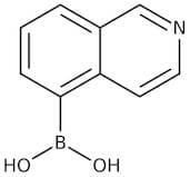 Isoquinoline-5-boronic acid, 97%