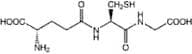 L-Glutathione, reduced, 98+%