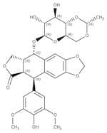 Etoposide