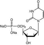 2'-Deoxyuridine-5'-monophosphate disodium salt, 99%