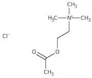 Acetylcholine chloride, 98+%
